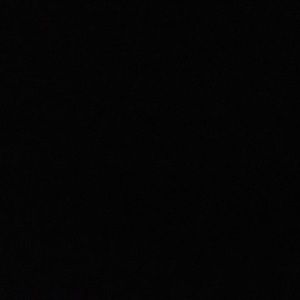 Meet your Posher, Daily